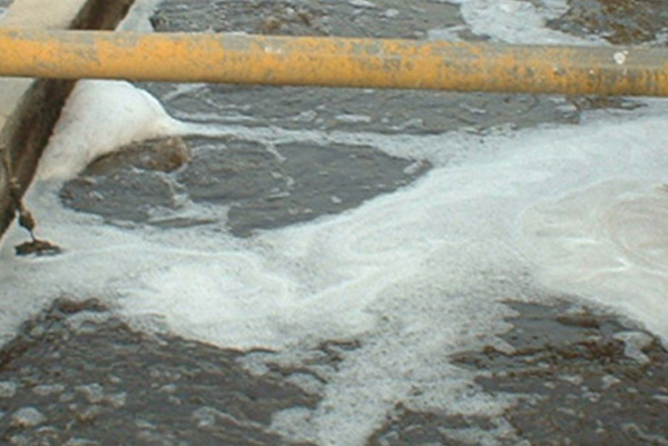 畜禽廢水處理廠家 畜禽廢水處理廠家
